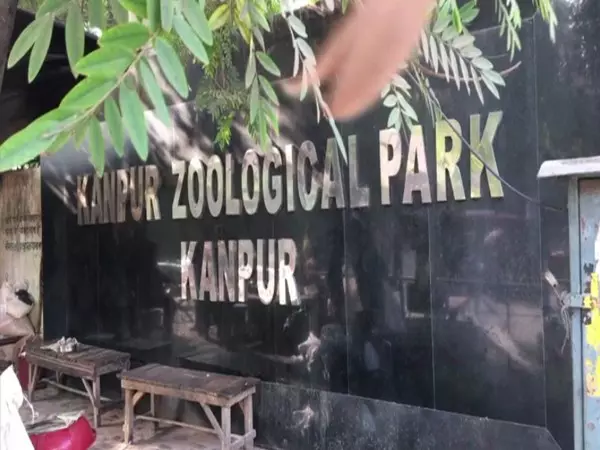 Kanpur चिड़ियाघर के दो जानवर बर्ड फ्लू से संक्रमित पाए गए, कीटाणुशोधन किया गया Kanpur चिड़ियाघर के दो जानवर बर्ड फ्लू से संक्रमित पाए गए, कीटाणुशोधन किया गया