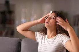Health: कम उम्र में भी महिलाओं को हो सकता है मेनोपॉज, इन संकेतों को न करें नजरअंदाज Health: कम उम्र में भी महिलाओं को हो सकता है मेनोपॉज, इन संकेतों को न करें नजरअंदाज