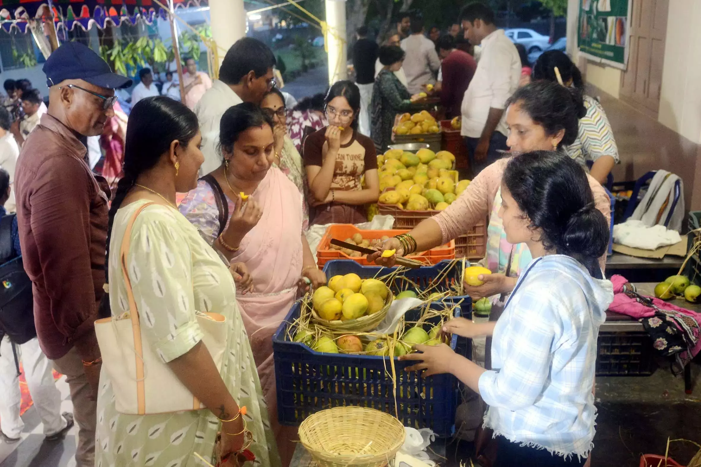 Vizag में 2 दिवसीय ऑर्गेनिक मैंगो मेला शुरू हुआ Vizag में 2 दिवसीय ऑर्गेनिक मैंगो मेला शुरू हुआ