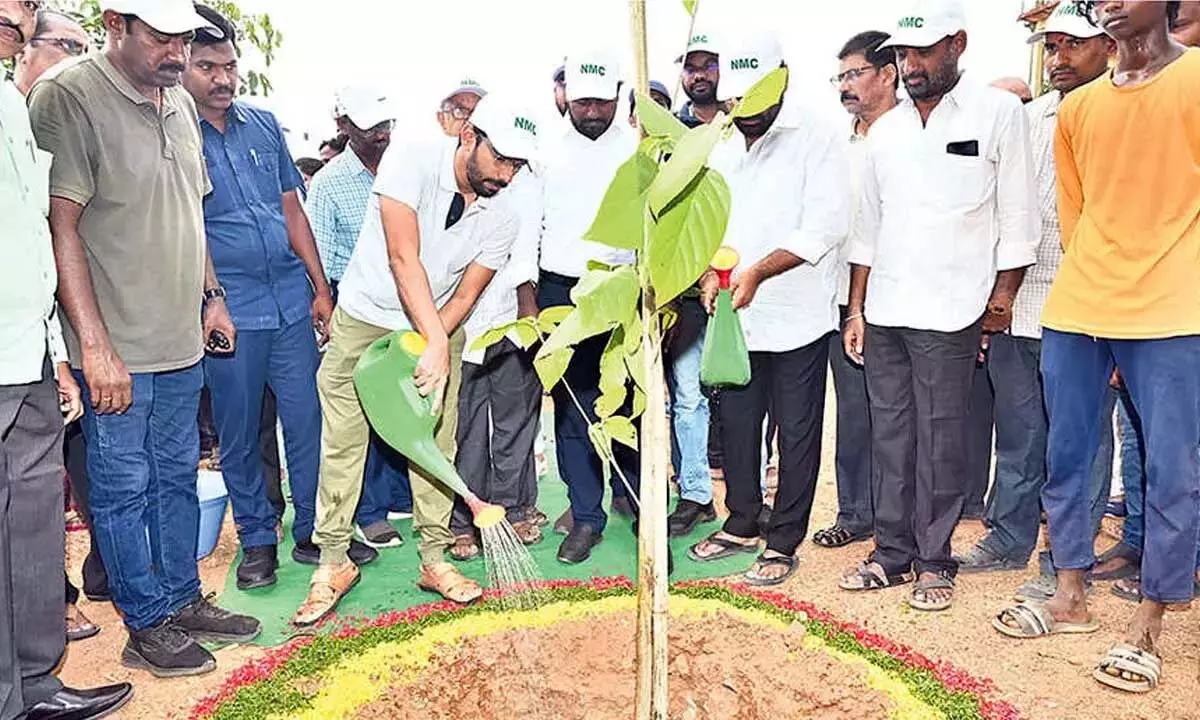अगले 6 महीनों में 10 हजार kitchen gardens बनाए जाएंगे: कलेक्टर अगले 6 महीनों में 10 हजार kitchen gardens बनाए जाएंगे: कलेक्टर