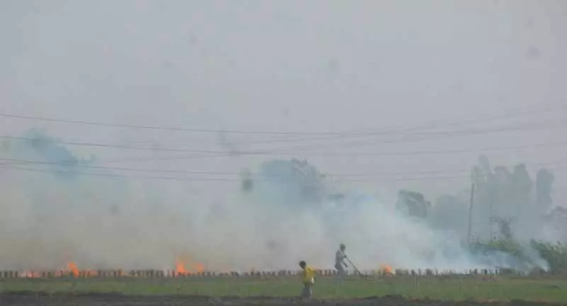 Punjab: फसल कटाई के बाद खेतों में आग लगने की घटनाएं शुरू, जिले में 331 घटनाएं दर्ज Punjab: फसल कटाई के बाद खेतों में आग लगने की घटनाएं शुरू, जिले में 331 घटनाएं दर्ज
