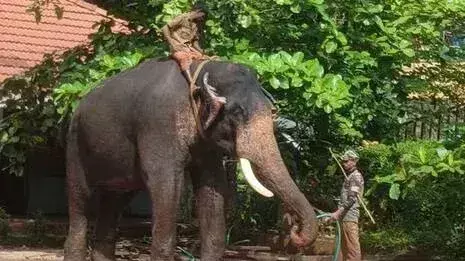 Kerala में तय समय पर होगा अर्जेंटीना टीम का दौरा, मंत्री और स्पॉन्सर ने दी जानकारी Kerala में तय समय पर होगा अर्जेंटीना टीम का दौरा, मंत्री और स्पॉन्सर ने दी जानकारी