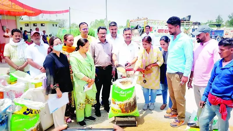6,000 रुपए प्रति क्विंटल के हिसाब से बिकी प्राकृतिक खेती से तैयार गेहूं 6,000 रुपए प्रति क्विंटल के हिसाब से बिकी प्राकृतिक खेती से तैयार गेहूं