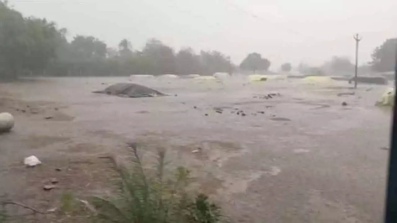 बेमौसम बारिश ने यासांगी धान को तबाह मंडोड्डी में Farmers आंसू बहा रहे अनाज भीगा हुआ और बिक नहीं रहा बेमौसम बारिश ने यासांगी धान को तबाह मंडोड्डी में Farmers आंसू बहा रहे अनाज भीगा हुआ और बिक नहीं रहा