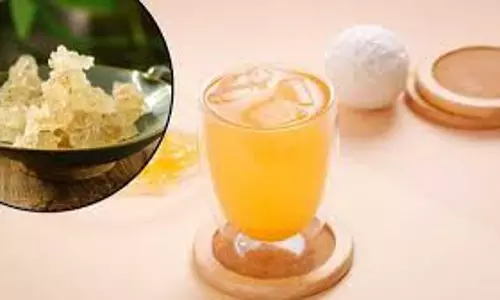 Summer Drink: गर्मियों में गोंद कतीरा से बनाएं ये टेस्टी ड्रिंक, लू भी नहीं करेगी छू