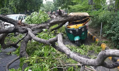 Delhi शहर में धूल भरी आंधी, बारिश; आज और अधिक संभावना Delhi शहर में धूल भरी आंधी, बारिश; आज और अधिक संभावना