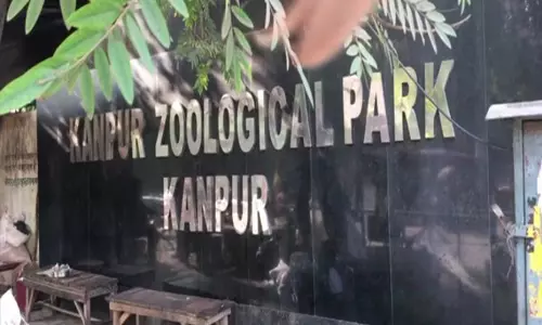 Kanpur चिड़ियाघर के दो जानवर बर्ड फ्लू से संक्रमित पाए गए, कीटाणुशोधन किया गया