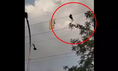 ये क्या! जब हाईटेंशन लाइन पर साइन बोर्ड का टुकड़ा फंसा, देखते ही चौंक गए लोग