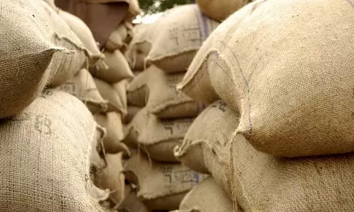 Odisha ने रिकॉर्ड धान भंडार के बीच केंद्र से चावल निकासी में तेजी लाने का आग्रह किया