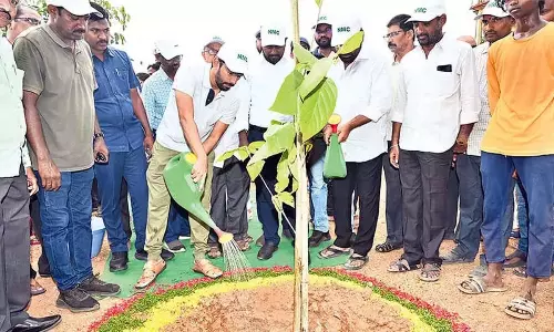 अगले 6 महीनों में 10 हजार kitchen gardens बनाए जाएंगे: कलेक्टर