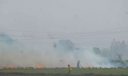 Punjab: फसल कटाई के बाद खेतों में आग लगने की घटनाएं शुरू, जिले में 331 घटनाएं दर्ज Punjab: फसल कटाई के बाद खेतों में आग लगने की घटनाएं शुरू, जिले में 331 घटनाएं दर्ज