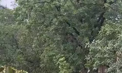 कई जिलों में हो रही बूंदाबांदी, बदली छाए