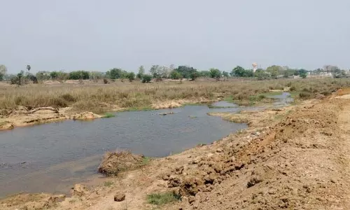 SPCB ने जीरा नदी में प्रदूषण पर गंभीर चिंता जताई