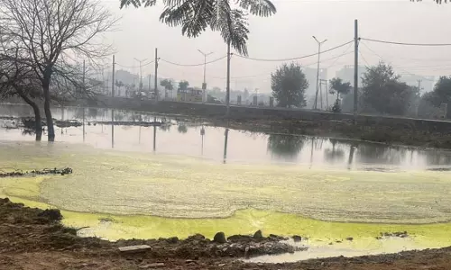 गंगा में बढ़ता जल प्रदूषण बना डॉल्फिन के अस्तित्व पर खतरा गंगा में बढ़ता जल प्रदूषण बना डॉल्फिन के अस्तित्व पर खतरा