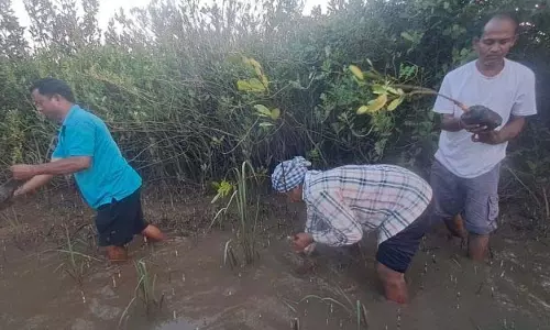 केंद्रपारा जिले के शिक्षकों ने गुप्तागिरी तट पर 500 मैंग्रोव पौधे रोपे केंद्रपारा जिले के शिक्षकों ने गुप्तागिरी तट पर 500 मैंग्रोव पौधे रोपे
