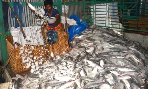 वैश्विक अनिश्चितताओं के बावजूद भारत के समुद्री खाद्य निर्यात में उछाल
