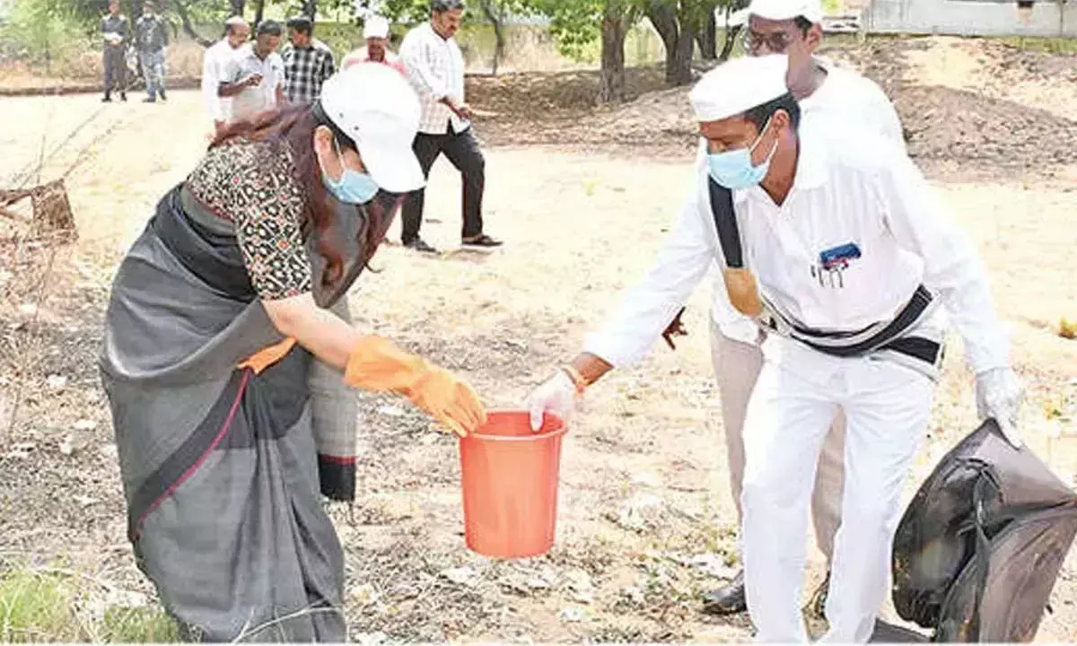गर्मी से निपटने के लिए उपाय करें: Collector