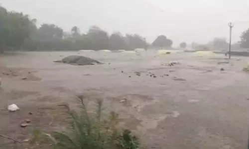 बेमौसम बारिश ने यासांगी धान को तबाह  मंडोड्डी में Farmers आंसू बहा रहे अनाज भीगा हुआ और बिक नहीं रहा