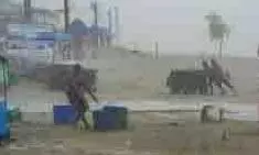 Jammu-Kashmir: तेज तूफान ने मचाई तबाही, लोगों में दहशत Jammu-Kashmir: तेज तूफान ने मचाई तबाही, लोगों में दहशत