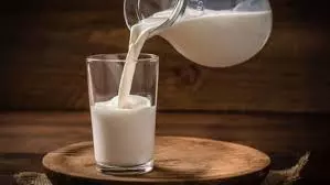 Health: दूध के साथ करें इन चीजों का सेवन, विटामिन B12 की कमी होगी दूर Health: दूध के साथ करें इन चीजों का सेवन, विटामिन B12 की कमी होगी दूर