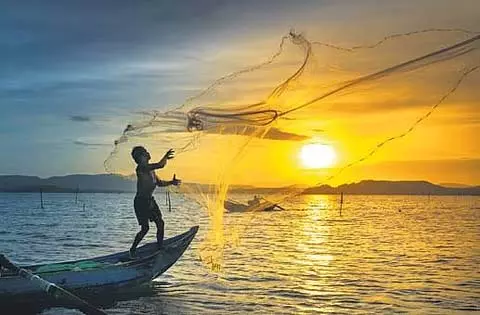 कृषि और मत्स्य पालन में Tamil Nadu पहले स्थान पर कृषि और मत्स्य पालन में Tamil Nadu पहले स्थान पर