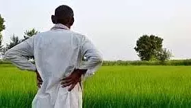 जीवंत सतबारा अभियान ने पूरे महाराष्ट्र में 5 लाख से अधिक भूमि रिकॉर्ड अपडेट किए जीवंत सतबारा अभियान ने पूरे महाराष्ट्र में 5 लाख से अधिक भूमि रिकॉर्ड अपडेट किए