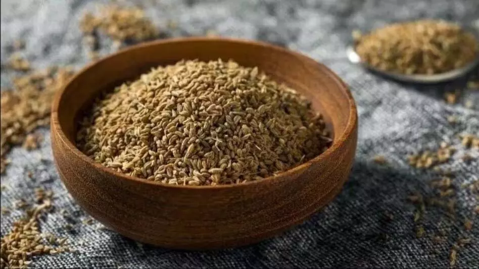 पाना चाहते हैं ये फायदे, अपनी डाइट में शामिल करें ये बीज पाना चाहते हैं ये फायदे, अपनी डाइट में शामिल करें ये बीज