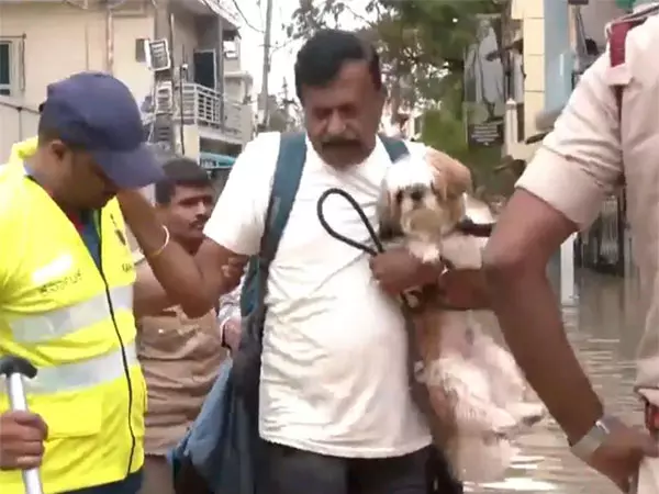 तेजस्वी सूर्या ने डीके शिवकुमार पर साधा निशाना, बेंगलुरु जलजमाव को लेकर उठाए सवाल तेजस्वी सूर्या ने डीके शिवकुमार पर साधा निशाना, बेंगलुरु जलजमाव को लेकर उठाए सवाल