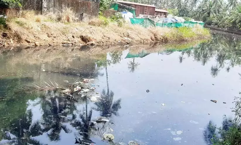 पल्लम नदी कचरे से भरी; संकट में पड़ा व्यक्ति पल्लम नदी कचरे से भरी; संकट में पड़ा व्यक्ति