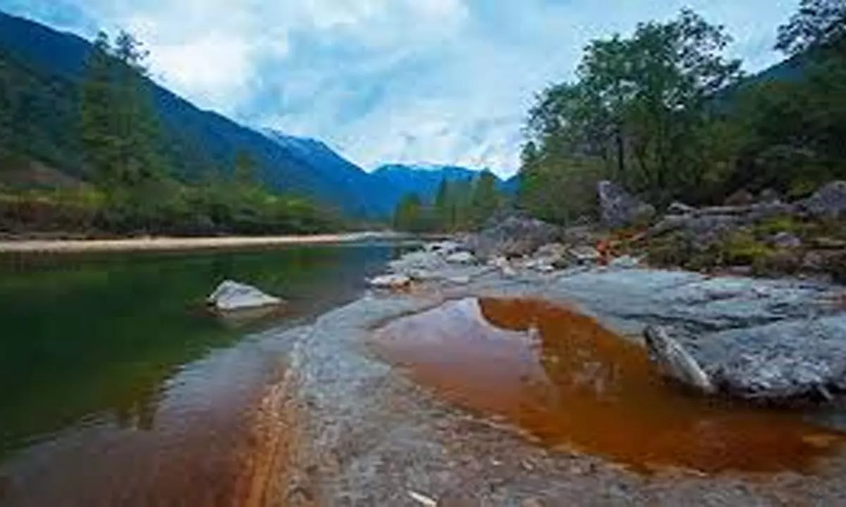 प्रशिक्षण, कृषि-input वितरण ने दिबांग घाटी में फलों की खेती को बढ़ावाया प्रशिक्षण, कृषि-input वितरण ने दिबांग घाटी में फलों की खेती को बढ़ावाया