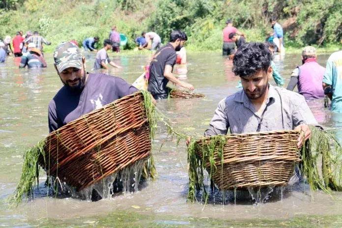 Jammu: पंजाथ का मछली पकड़ने का त्यौहार पारंपरिक पर्यावरण संरक्षण Jammu: पंजाथ का मछली पकड़ने का त्यौहार पारंपरिक पर्यावरण संरक्षण