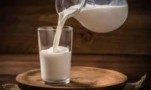 Health: दूध के साथ करें इन चीजों का सेवन, विटामिन B12 की कमी होगी दूर Health: दूध के साथ करें इन चीजों का सेवन, विटामिन B12 की कमी होगी दूर