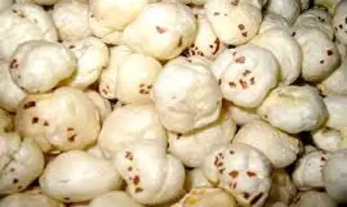 Health: इन गंभीर बीमारियों में फायदेमंद है मखाने का सेवन, जानें इसे खाने का सही समय और तरीका Health: इन गंभीर बीमारियों में फायदेमंद है मखाने का सेवन, जानें इसे खाने का सही समय और तरीका