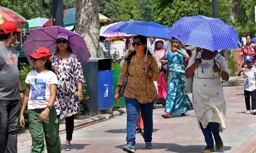 पैनल ने दिल्ली-एनसीआर में GRAP चरण-1 उपायों को रद्द कर दिया