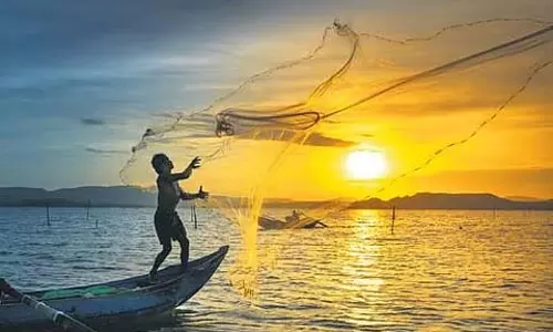 कृषि और मत्स्य पालन में Tamil Nadu पहले स्थान पर कृषि और मत्स्य पालन में Tamil Nadu पहले स्थान पर