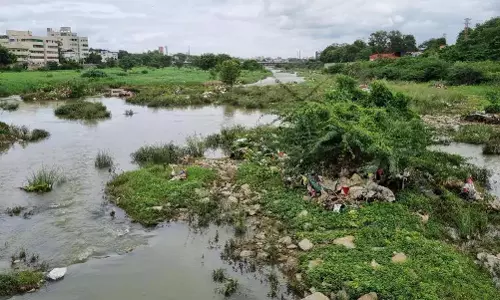 Kurnool शहर में सफाई अभियान जोरों पर Kurnool शहर में सफाई अभियान जोरों पर