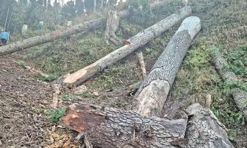 Shopian में तेज हवाओं से टेंट पर पेड़ गिरने से बच्ची की मौत, पिता घायल