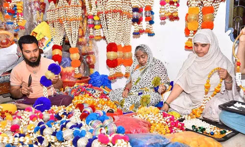 इलायची की पैदावार में गिरावट: मालाओं की कमी इलायची की पैदावार में गिरावट: मालाओं की कमी