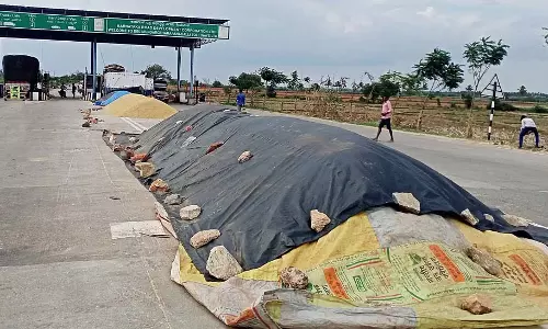 धान की कीमत में गिरावट: किसान संकट में