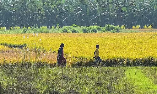 Odisha सरकार किसानों को 11 हजार करोड़ रुपये का अल्पावधि खरीफ ऋण वितरित करेगी