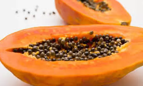 Healthy Diet: सुबह खाली पेट पपीता खाने से मिलते हैं ये 4 फायदे Healthy Diet: सुबह खाली पेट पपीता खाने से मिलते हैं ये 4 फायदे