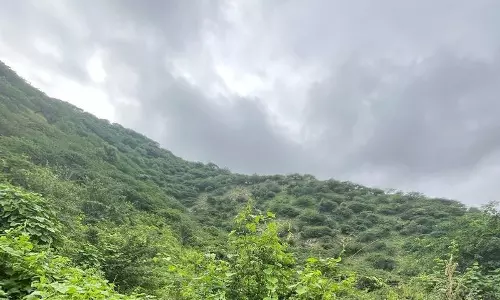 अरावली का 40 फीसदी हिस्सा कचरे से भरा, एमसी ने जांच शुरू की अरावली का 40 फीसदी हिस्सा कचरे से भरा, एमसी ने जांच शुरू की