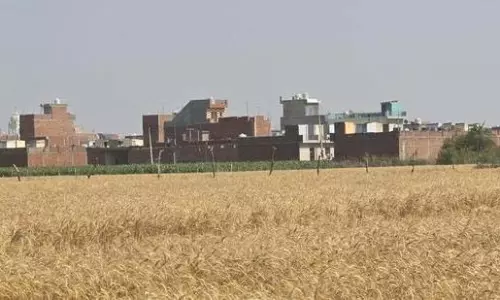 Mohali: 15 अवैध कॉलोनियों पर GMADA की चुप्पी Mohali: 15 अवैध कॉलोनियों पर GMADA की चुप्पी