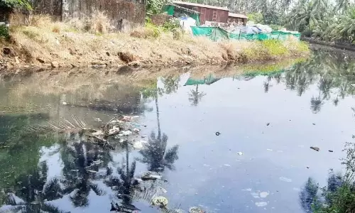 पल्लम नदी कचरे से भरी; संकट में पड़ा व्यक्ति