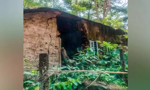 सुरक्षा गार्ड के बिना सरकारी क्वार्टर; लाखों की लागत से बनी इमारतें जंगल से नष्ट हो रही