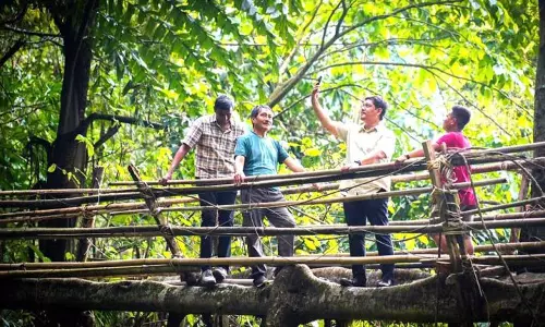 Meghalaya वाहलिंगखत में लिविंग रूट ब्रिजेज एक्सपीरियंस सेंटर स्थापित करेगा Meghalaya वाहलिंगखत में लिविंग रूट ब्रिजेज एक्सपीरियंस सेंटर स्थापित करेगा