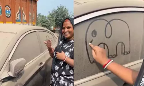 महिला ने कार के दरवाज़े के धूल भरे शीशे पर हाथी की तस्वीर बनाई