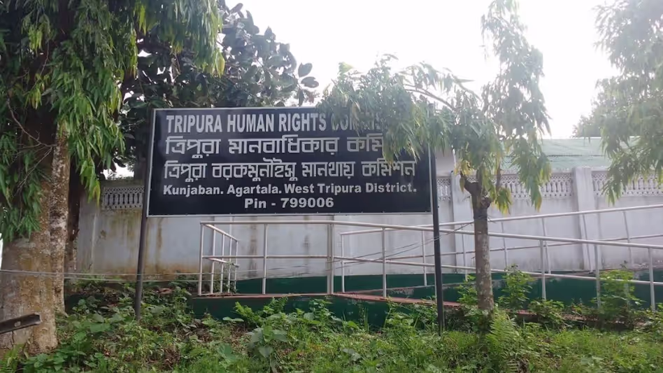 Tripura बाघ शावकों के जन्म के साथ पहली बार ऐतिहासिक घटना दर्ज की गई Tripura बाघ शावकों के जन्म के साथ पहली बार ऐतिहासिक घटना दर्ज की गई