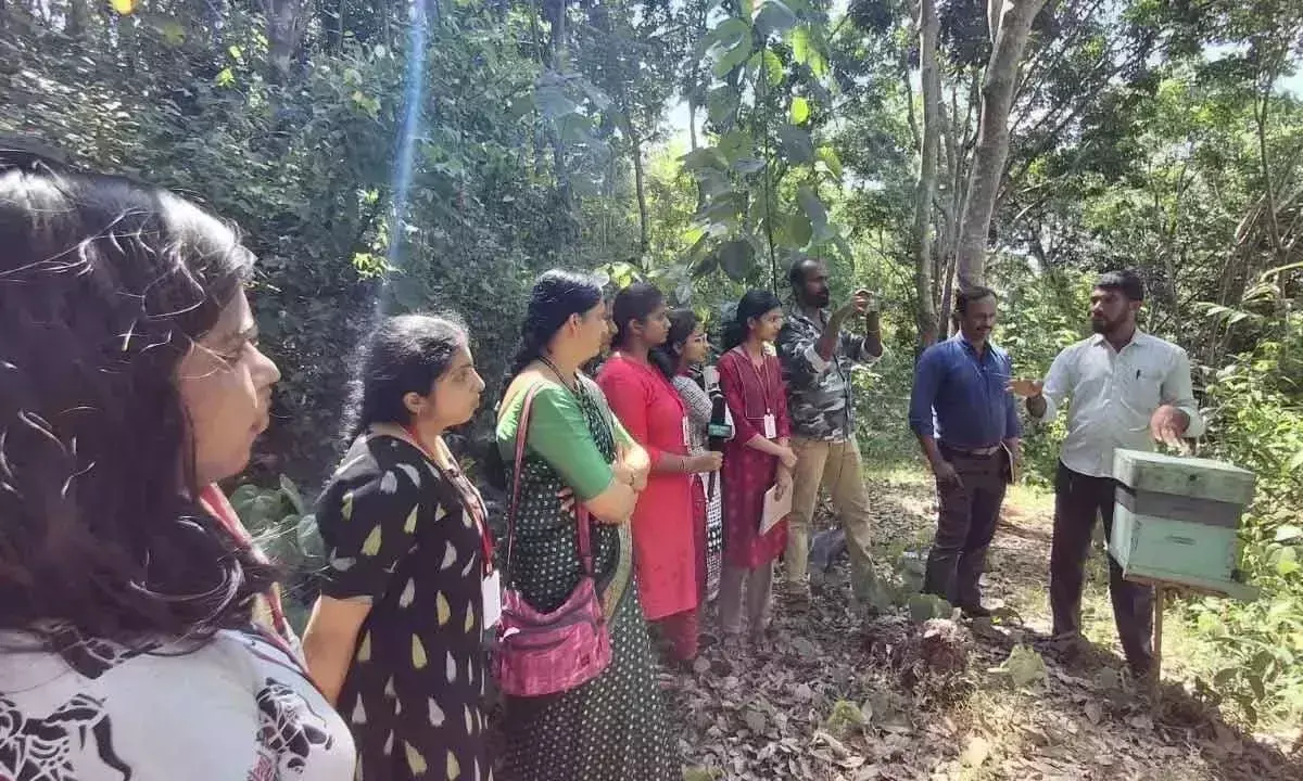 Karnataka: मधुमक्खियां सर्वोच्च प्रजाति हैं, मनुष्य नहीं: मधुमक्खीपालक Karnataka: मधुमक्खियां सर्वोच्च प्रजाति हैं, मनुष्य नहीं: मधुमक्खीपालक