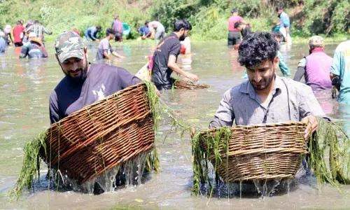 Jammu: पंजाथ का मछली पकड़ने का त्यौहार पारंपरिक पर्यावरण संरक्षण